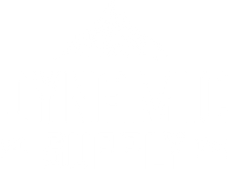 Dynamic Screen Printing Supply
